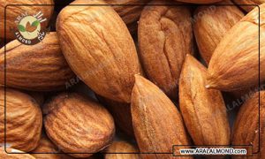 فروش عمده بادام درختی ایرانی