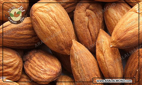 فروش عمده بادام درختی ایرانی