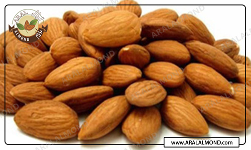 مرکز فروش اینترنتی بادام پوست کاغذی