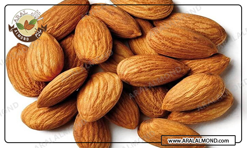 مرکز سفارش بادام پوست کاغذی