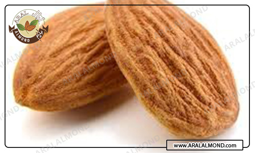  مرکز خرید بادام ایرانی