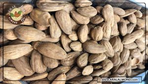 مرکز خرید اینترنتی بادام سنگی صادراتی