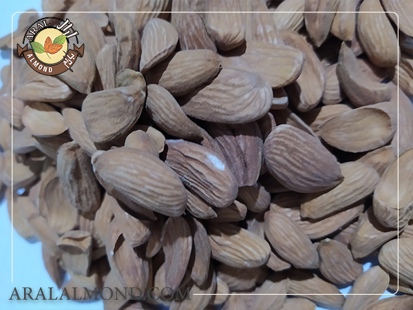 مرکز سفارش بادام سنگی مرغوب