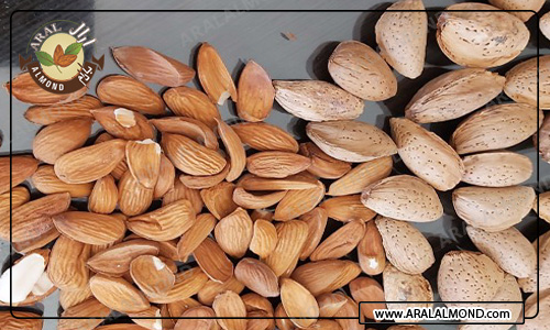 مرکز خرید اینترنتی بادام سنگی صادراتی