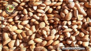 خرید بادام درختی عمده تازه و ارگانیک