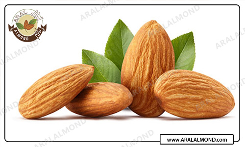 خواص بادام تلخ و روش روغن گیری آن