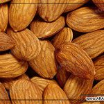 سایت فروش عمده بادام تازه و مرغوب