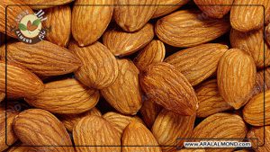 سایت فروش عمده بادام تازه و مرغوب