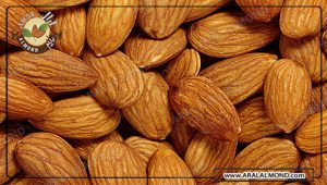 سایت فروش عمده بادام تازه و مرغوب