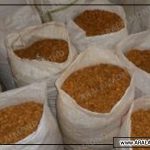 قیمت بادام درختی سامان شهرکرد صادراتی