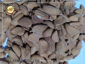 مرکز سفارش بادام ایرانی