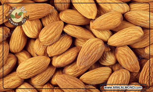قیمت فروش اینترنتی بادام سنگی درجه یک