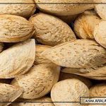 سفارش انواع بادام ایرانی ارزان قیمت