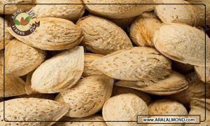 سفارش انواع بادام ایرانی ارزان قیمت