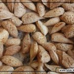طبع بادام درختی ایرانی و خواص بادام درختی