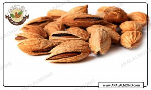 قیمت بادام منقا پوست کاغذی ایرانی 1400