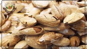 قیمت فروش بادام پوست کاغذی ارزان