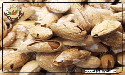 صادرات بادام پوست کاغذی ارزان قیمت