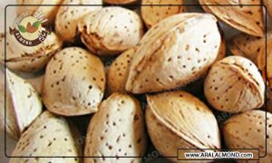 مرکز فروش بادام ایرانی ارزان قیمت