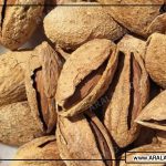 خواص بادام منقا پوست کاغذی و خرید بادام ایرانی