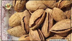 خواص بادام منقا پوست کاغذی و خرید بادام ایرانی