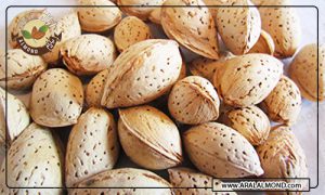 فروش اینترنتی بادام ایرانی از طریق وب سایت