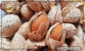 خرید اینترنتی بادام مامایی مرغوب صادراتی
