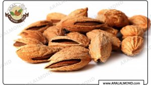 صادرات بادام پوست کاغذی ارزان قیمت