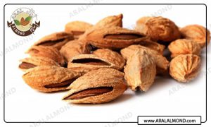 صادرات بادام پوست کاغذی ارزان قیمت