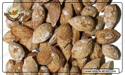 قیمت بادام عمده درجه یک