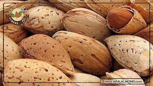 فروش اینترنتی بادام عمده