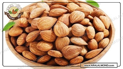 قیمت عمده بادام چهارمحال و بختیاری