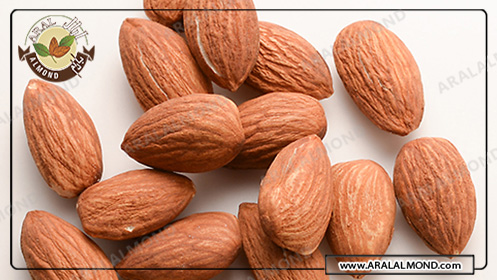 سایت فروش عمده مغز بادام