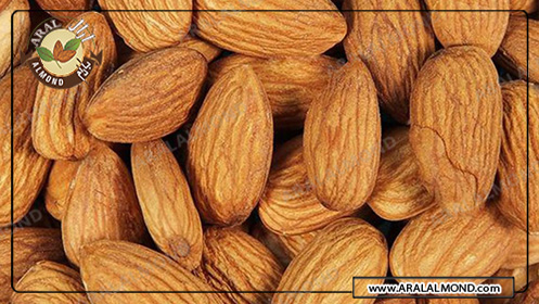 فروش اینترنتی بادام عمده