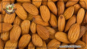 سایت فروش عمده مغز بادام با کیفیت