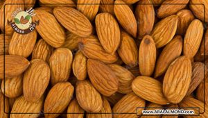 سایت فروش عمده مغز بادام با کیفیت