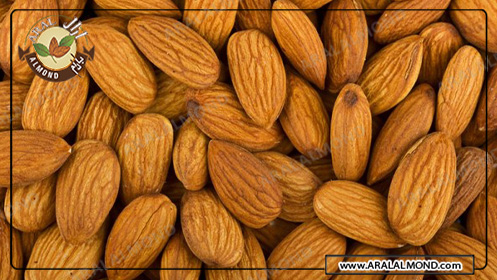 سایت فروش عمده مغز بادام با کیفیت