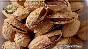 مرکز فروش بادام درختی ارزان در ایران