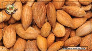 سایت فروش مغز بادام مامایی ارزان قیمت