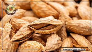 خرید بادام درختی عمده تازه و ارگانیک