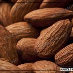 فروش عمده بادام سنگی درجه یک