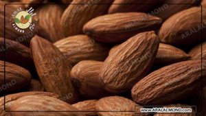 فروش عمده بادام سنگی درجه یک