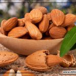 قیمت خرید بادام درختی سنگی 1400 و خواص بادام سنگی ایرانی