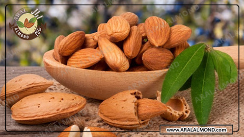 قیمت خرید بادام درختی سنگی 1400 و خواص بادام سنگی ایرانی