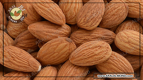 مرکز صادرات عمده مغز بادام با کیفیت