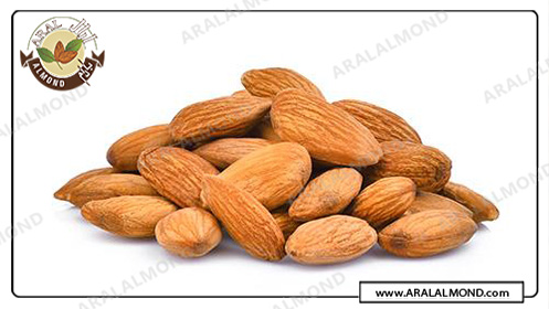 مرکز صادرات عمده مغز بادام