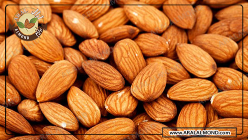 قیمت خرید عمده بادام