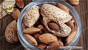صادرات بادام درختی ایرانی صادراتی به ترکیه