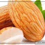 صادرات عمده مغز بادام ایرانی