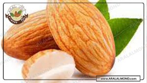 صادرات عمده مغز بادام ایرانی